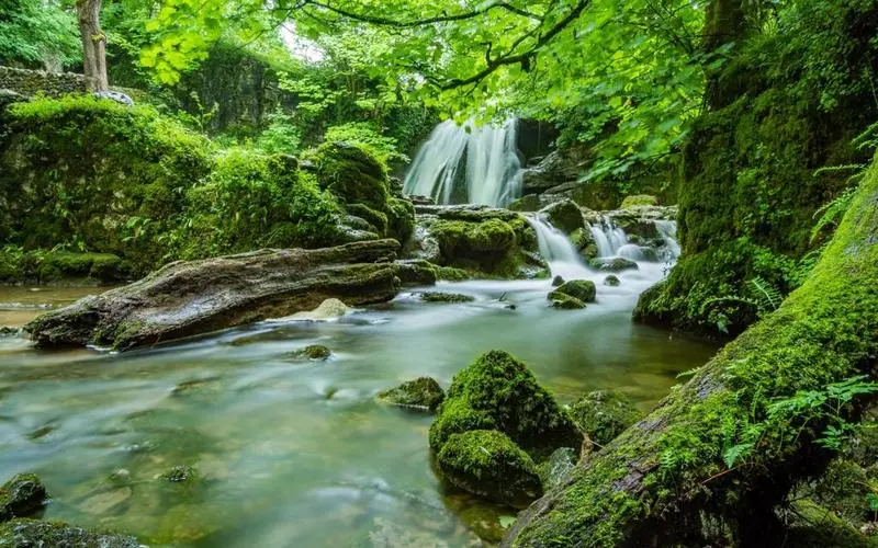 高性能独特智慧